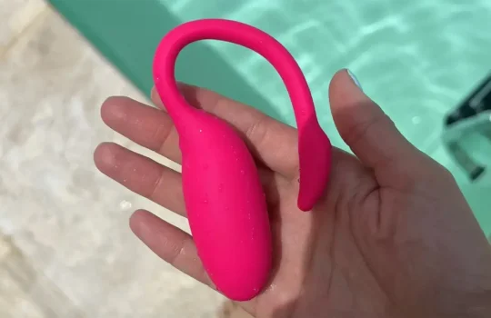 Hình ảnh thật trứng rung thiên nga Magic Flamingo