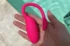 Hình ảnh thật trứng rung thiên nga Magic Flamingo