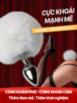 Butt plug đuôi thỏ
