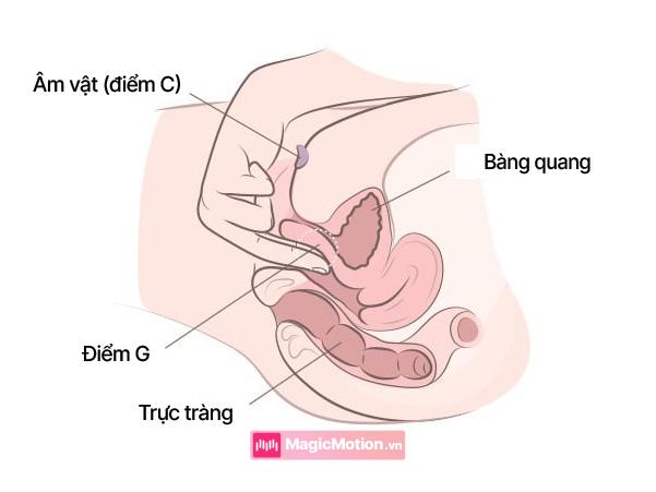 Cách kích thích điểm G squirting