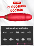 Sextoy hoa hồng 2 đầu rung thụt liếm Rose Licking