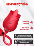 Sextoy hoa hồng 2 đầu rung thụt liếm Rose Licking