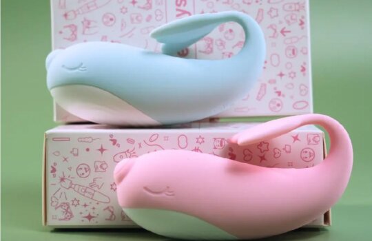 Trứng rung cá voi Whale nhỏ gọn dễ mang theo