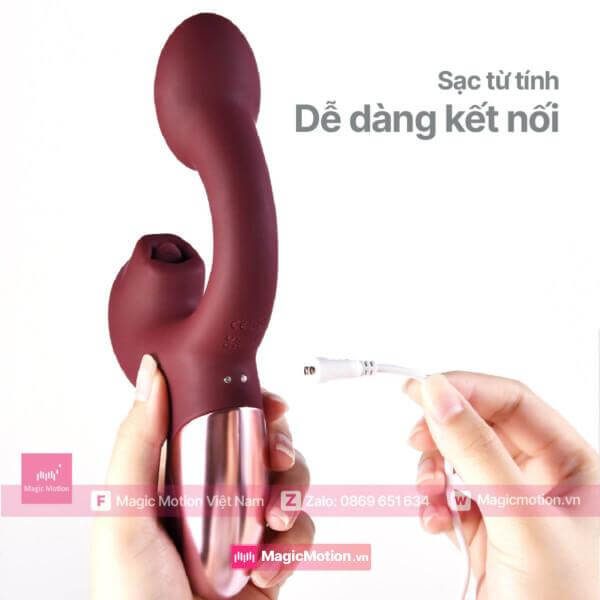 Sạc từ tính