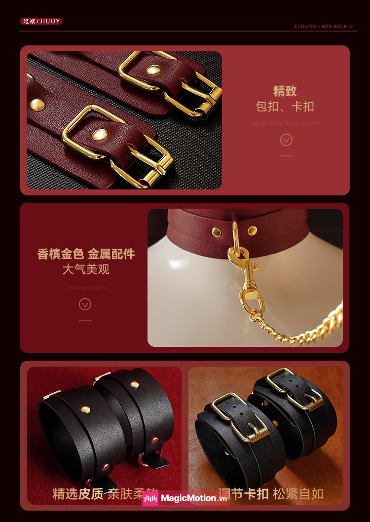 Bộ đồ chơi BDSM đỏ rượu khóa kim loại vàng