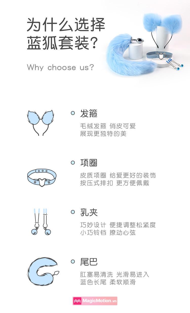 Combo butt plug đuôi cáo vì sao chọn bộ hồ ly