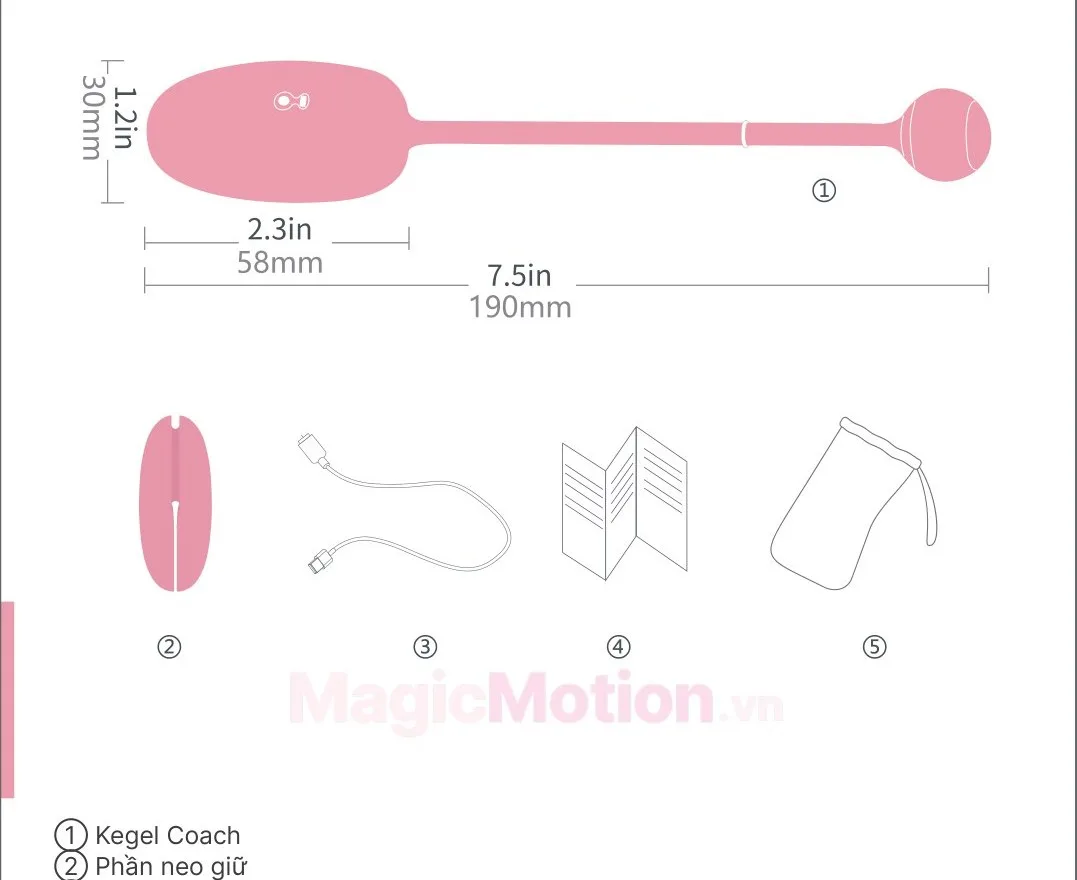 Phụ kiện đi kèm máy tập kegel Kegel Coach