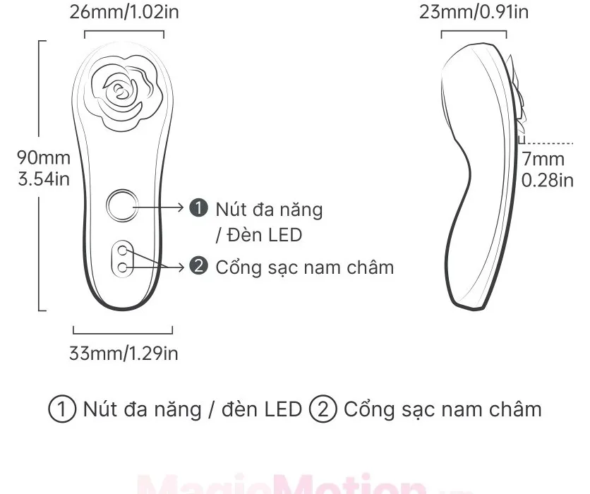 Cấu tạo và kích thước máy rung hoa hồng Caleo