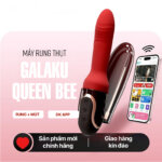 Sex toy rung thụt tự động Galaku Queen Bee